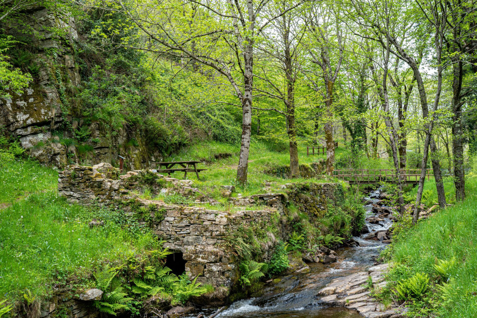 Les Espaces Naturels Sensibles - Tourisme en Montagne Noire