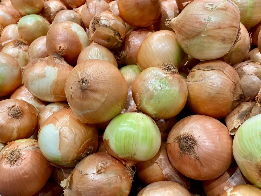 oignons