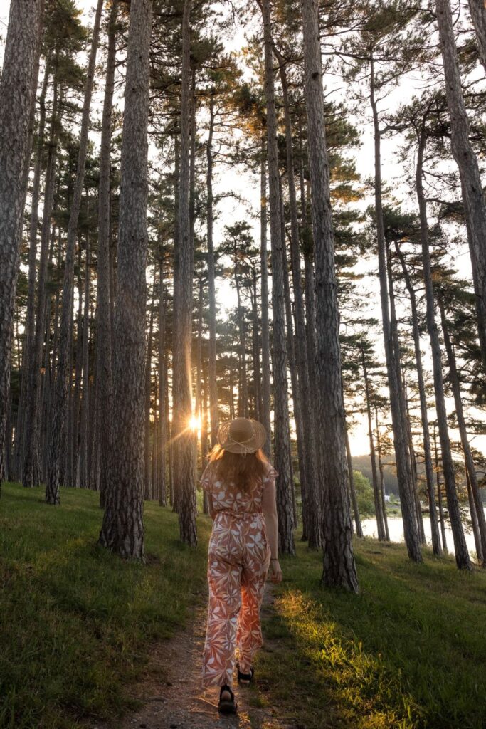 Balade au Lac de Saint-Ferréol