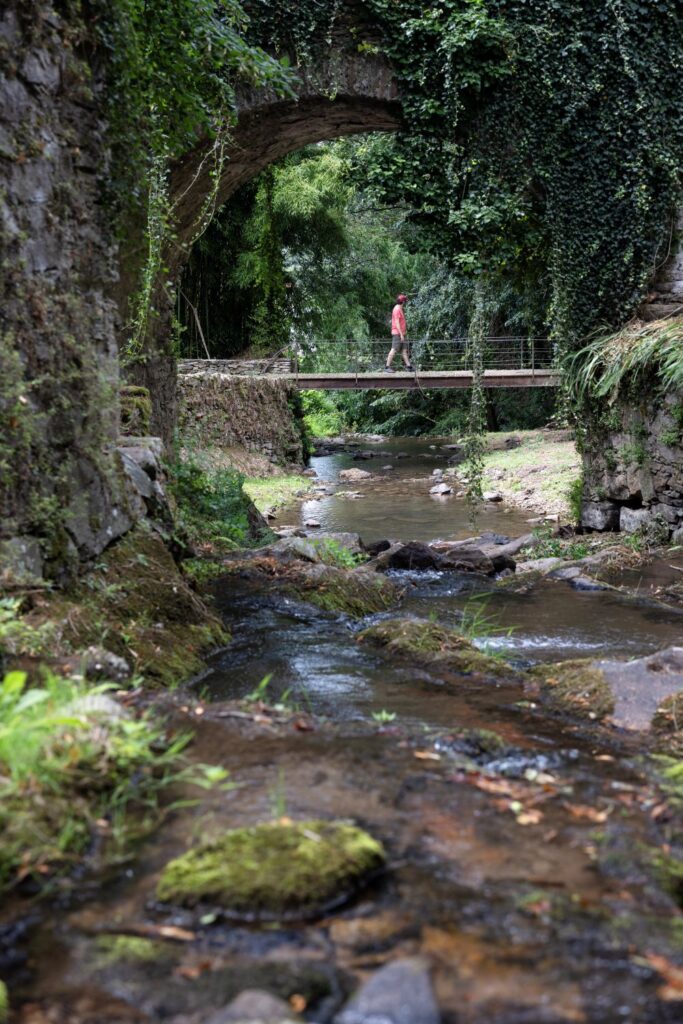 Balade en Thoré Montagne Noire